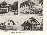 Postkarte Frieswil 1917