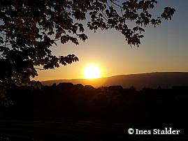 Sicht vom Frienisbergerwald nach Ruchwil