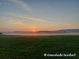 Aussicht Vogelsang Wiler